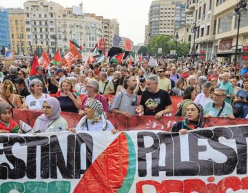 Manifestacions multitudinàries al País Valencià contra el genocidi a Palestina